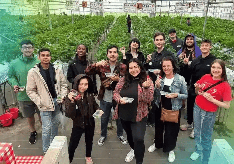 Group of young professionals on an international internship program abroad