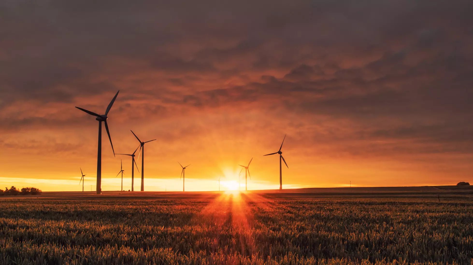 Wind turbines seen whilst completing a remote environmental science internship