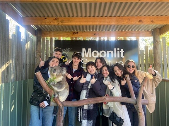 Interns with a koala during their internship program in Melbourne, Australia