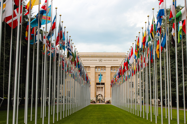 A corridor of flags lines a green meadow in front of the United Nations for Global development