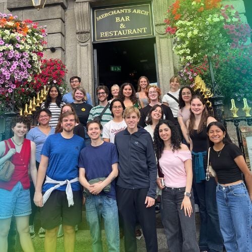 TIG interns in Dublin
