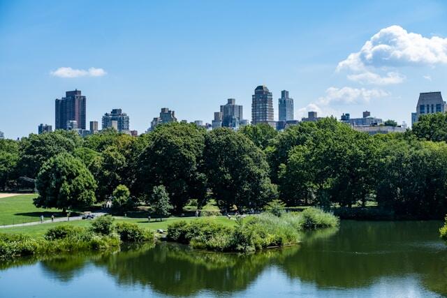 A view of Central Park. There is a reservoir in the foreground, trees in the middle distance, and New York skyscrapers in the background.