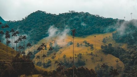 Exploring the mountains during an internship abroad in Colombia.