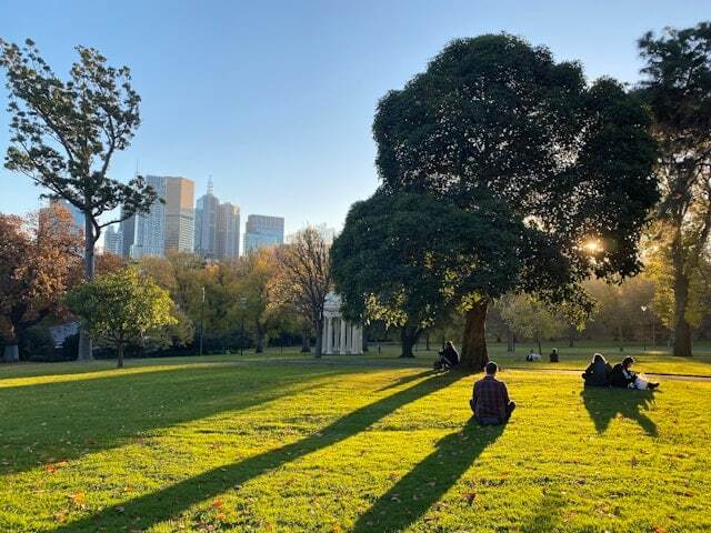 Relaxing in a park in Melbourne during an internship abroad.