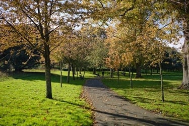 Herbert Park, Dublin, Ireland on a sunny day