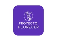 Proyector