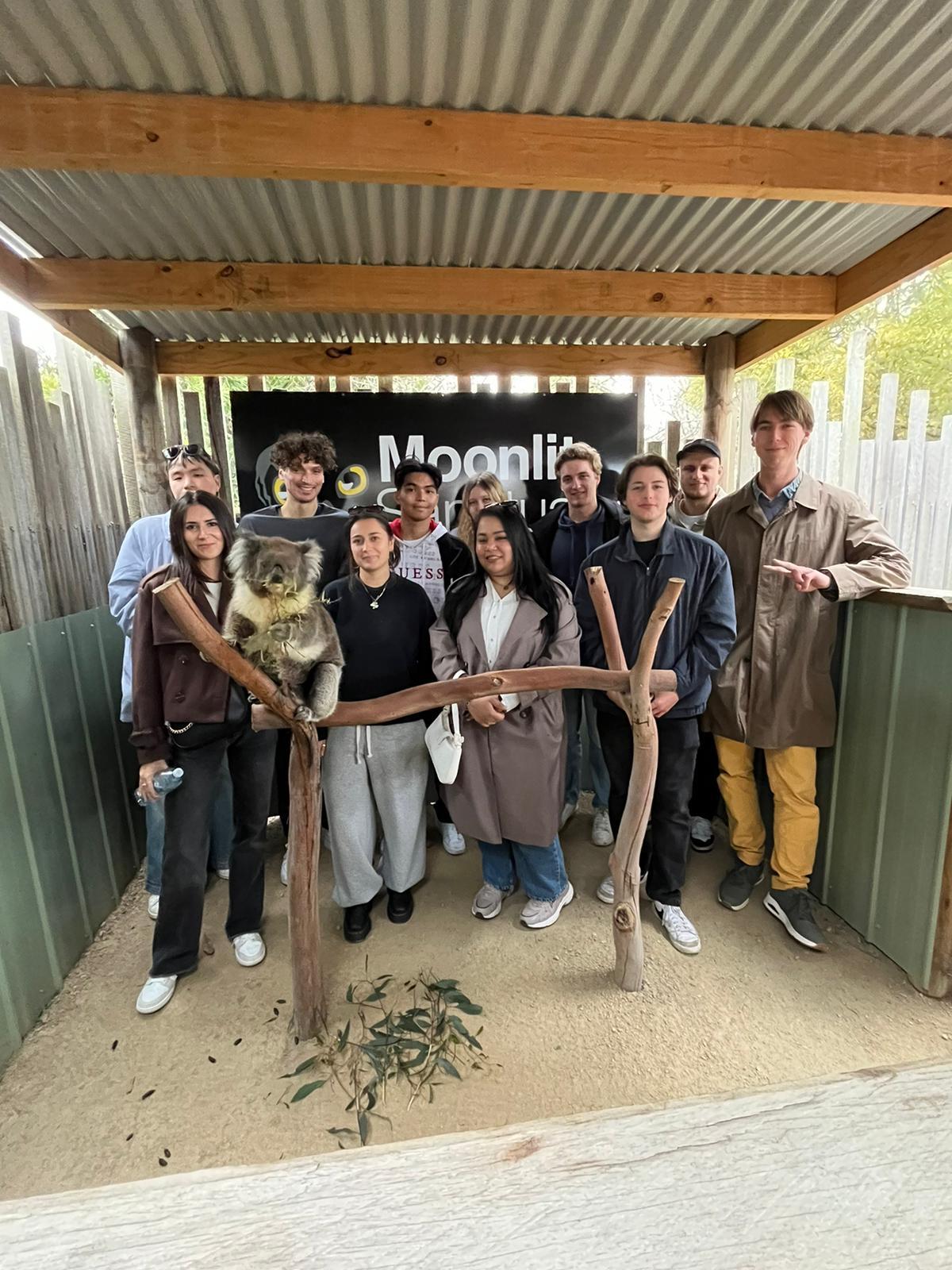 Seeing Australia's animals up close during a finance internship in Australia