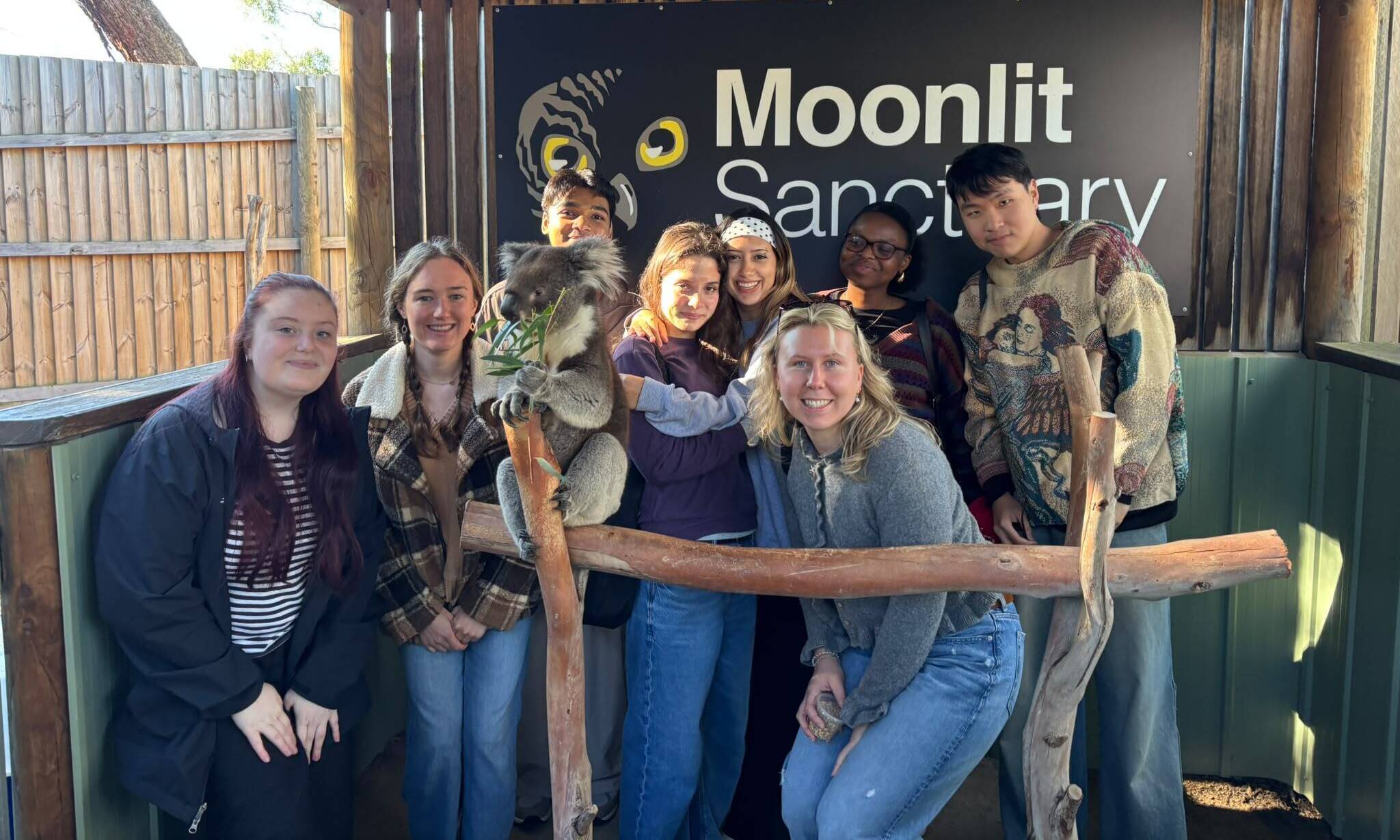Meeting a koala during a film internship in Melbourne
