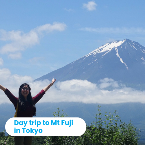 Day trip to mt fiji on gap year internship