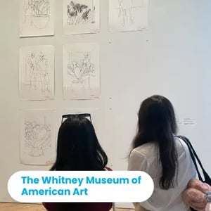 whitney museum NY