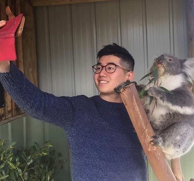 Posing with a koala during an Australia consulting internship