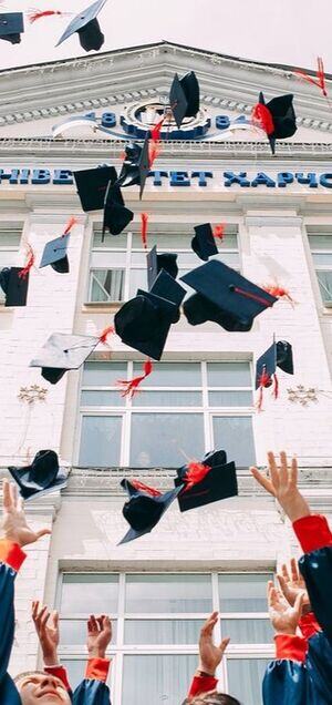 University international internship programs