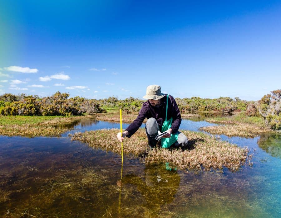 Sustainability internship experience