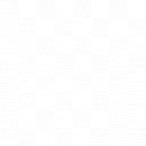 NY gif logos