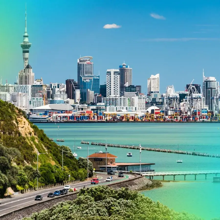International internships in Auckland